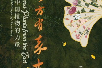 Beijing exhibition sheds light on global impact of Chinese flora